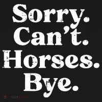 Sorry Cant Horses Bye Funny Riding Equestrian Men Women Ornament thumb 1
