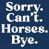 Sorry Cant Horses Bye Funny Riding Equestrian Men Women Women's Hoodie thumb 2