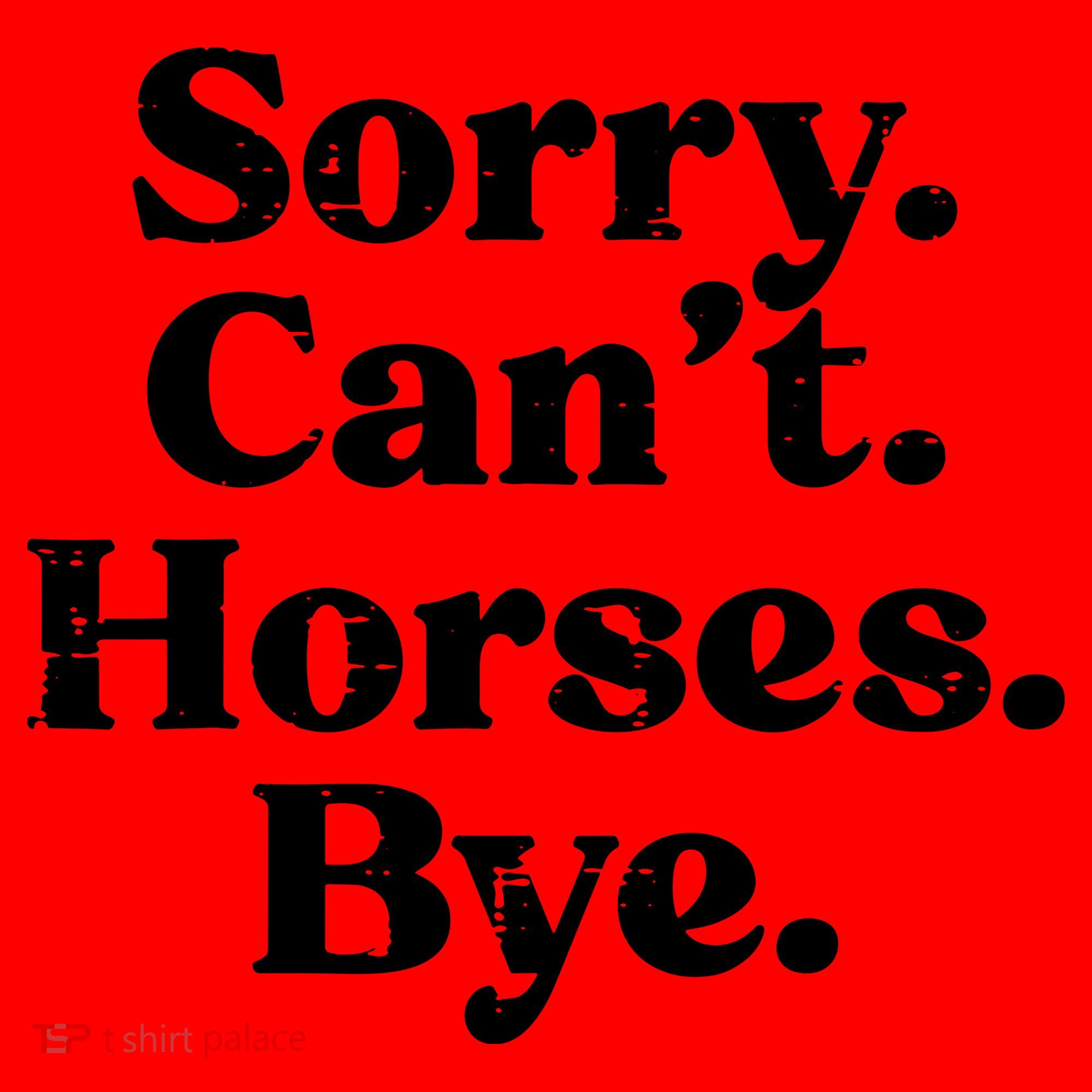 Sorry Cant Horses Bye Funny Riding Equestrian Men Women Santa Hat