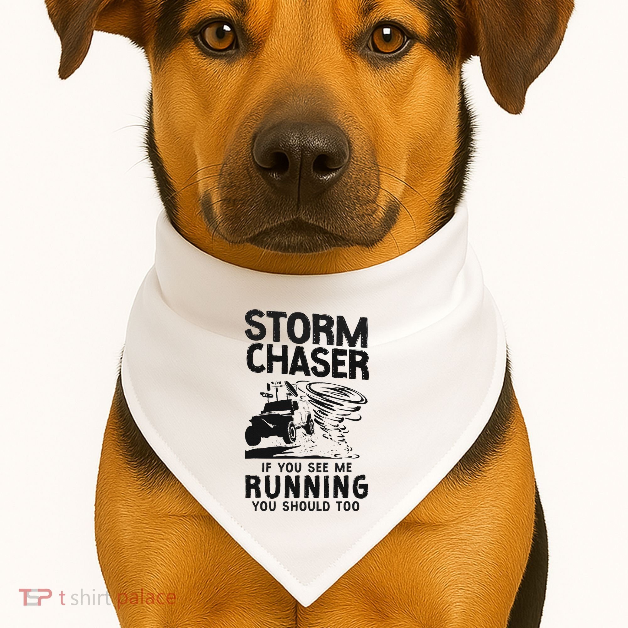 Storm Chaser Hurricane Meteorology Tornado Storm Chaser If USA-Made Doggie Bandana