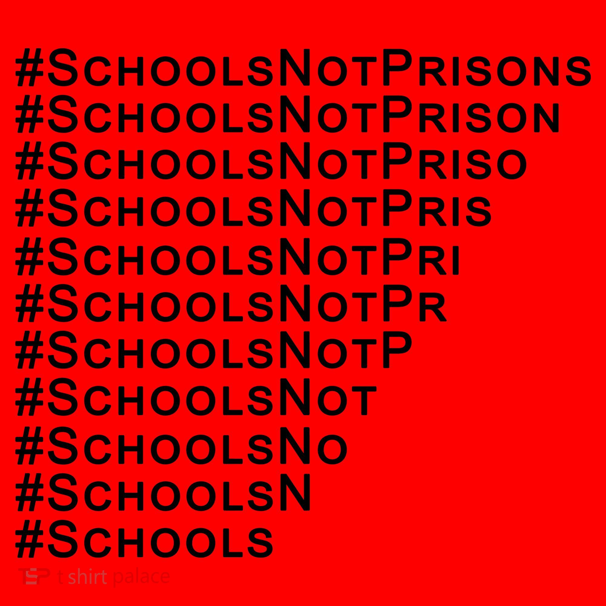 Schools Not Prisons Santa Hat