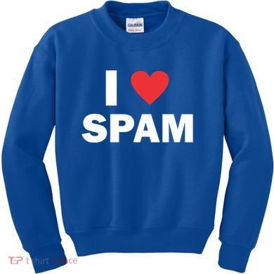 Spam Collection I Love Spam Gift Black Small Kids Sweatshirt
