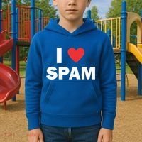 Spam Collection I Love Spam Gift Black Small Kids Hoodie thumb 2