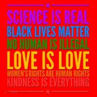 Science Is Real Black Lives Matter Love Is Love Santa Hat thumb 1