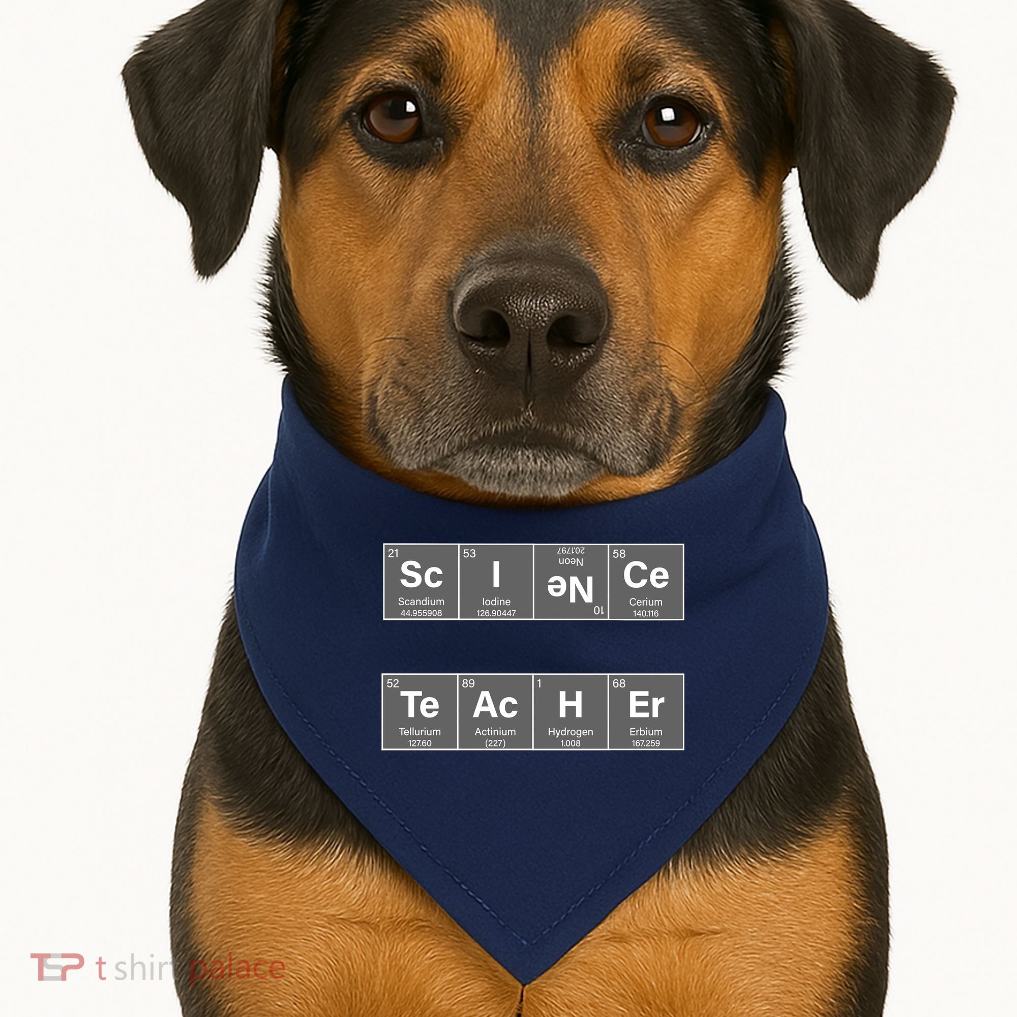 Science Teacher Periodic Table Logo USA-Made Doggie Bandana