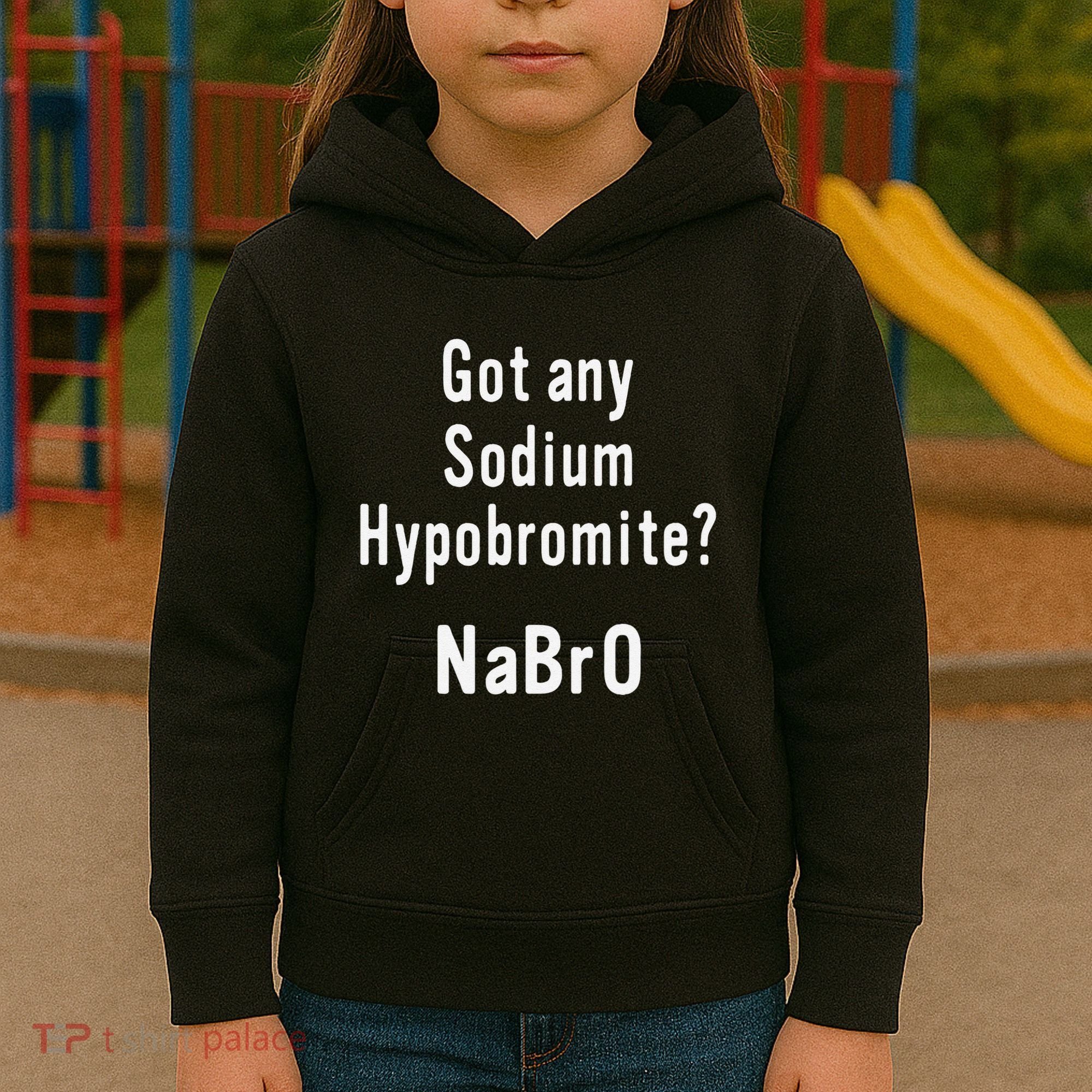 Scientist Chemist Joke For Chemistry Science Teacher Student Kids Hoodie