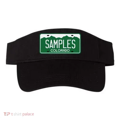 Visor