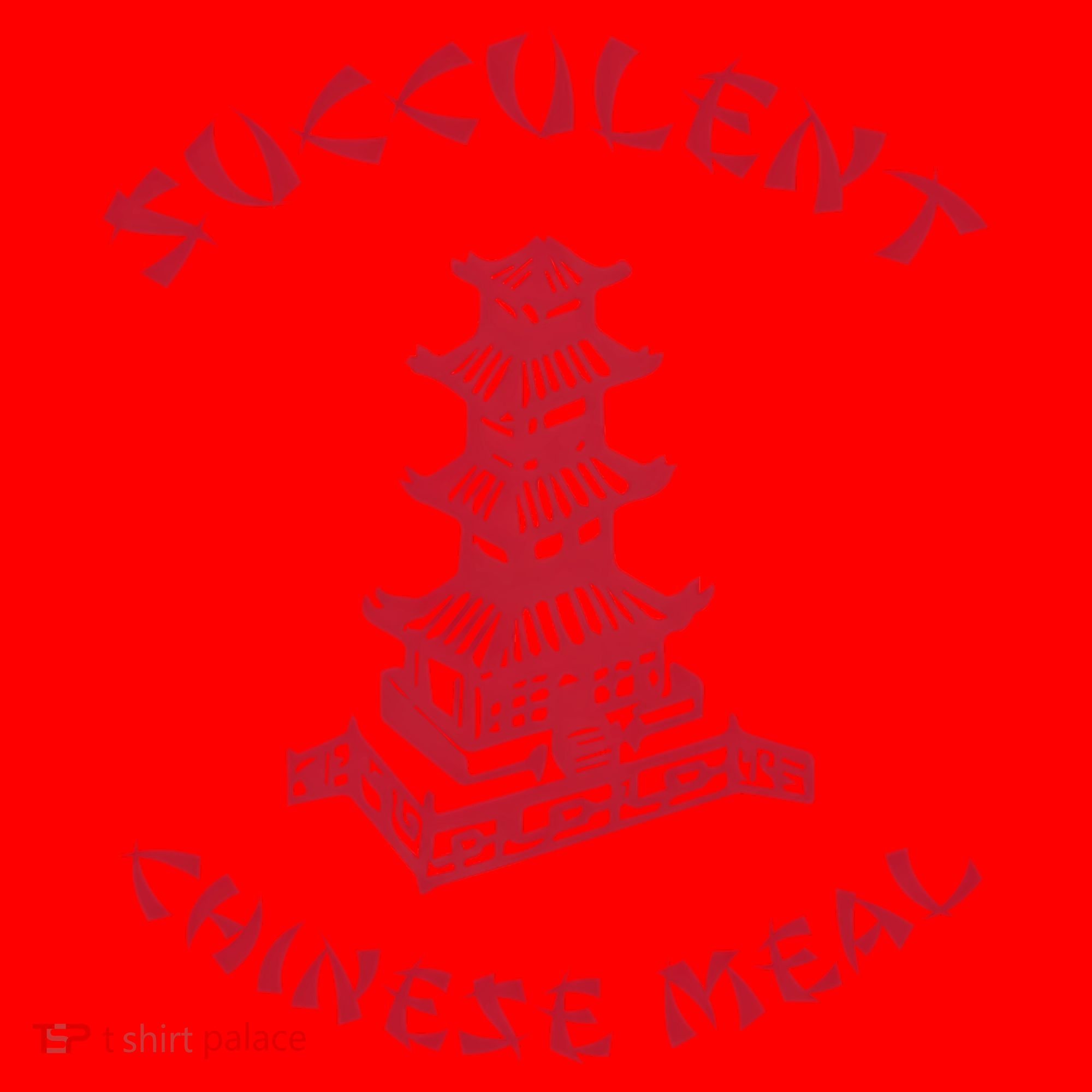 Succulent Chinese Meal Chinese Take Out Take Away Santa Hat