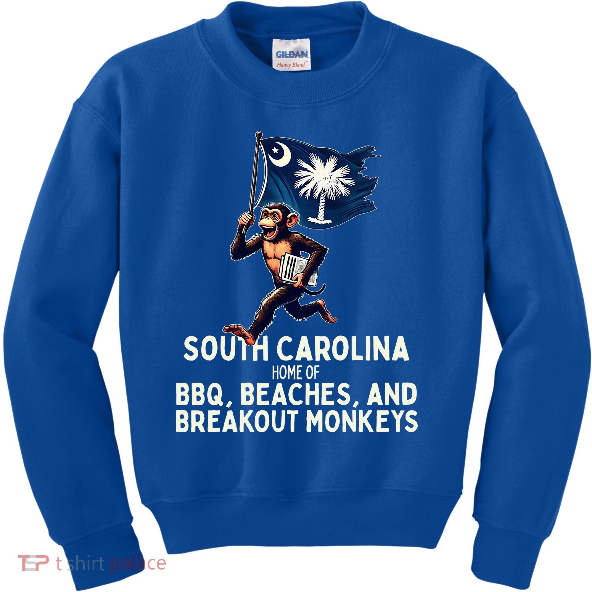 South Carolina Monkey Escape Kids Sweatshirt