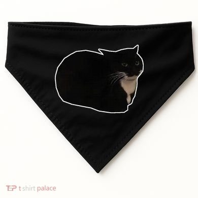 Spinning Cat Meme Maxwell The Cat Meme USA-Made Doggie Bandana
