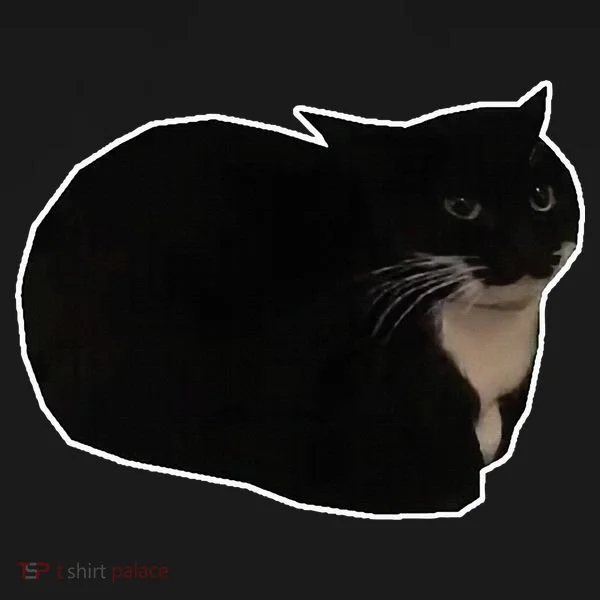 Spinning Cat Meme Maxwell The Cat Meme Bucket Hat