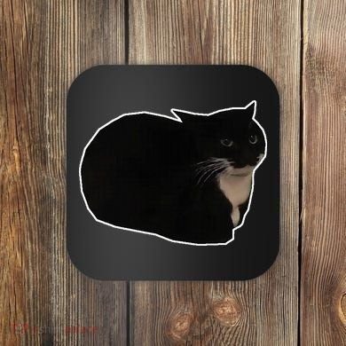 Spinning Cat Meme Maxwell The Cat Meme Coaster