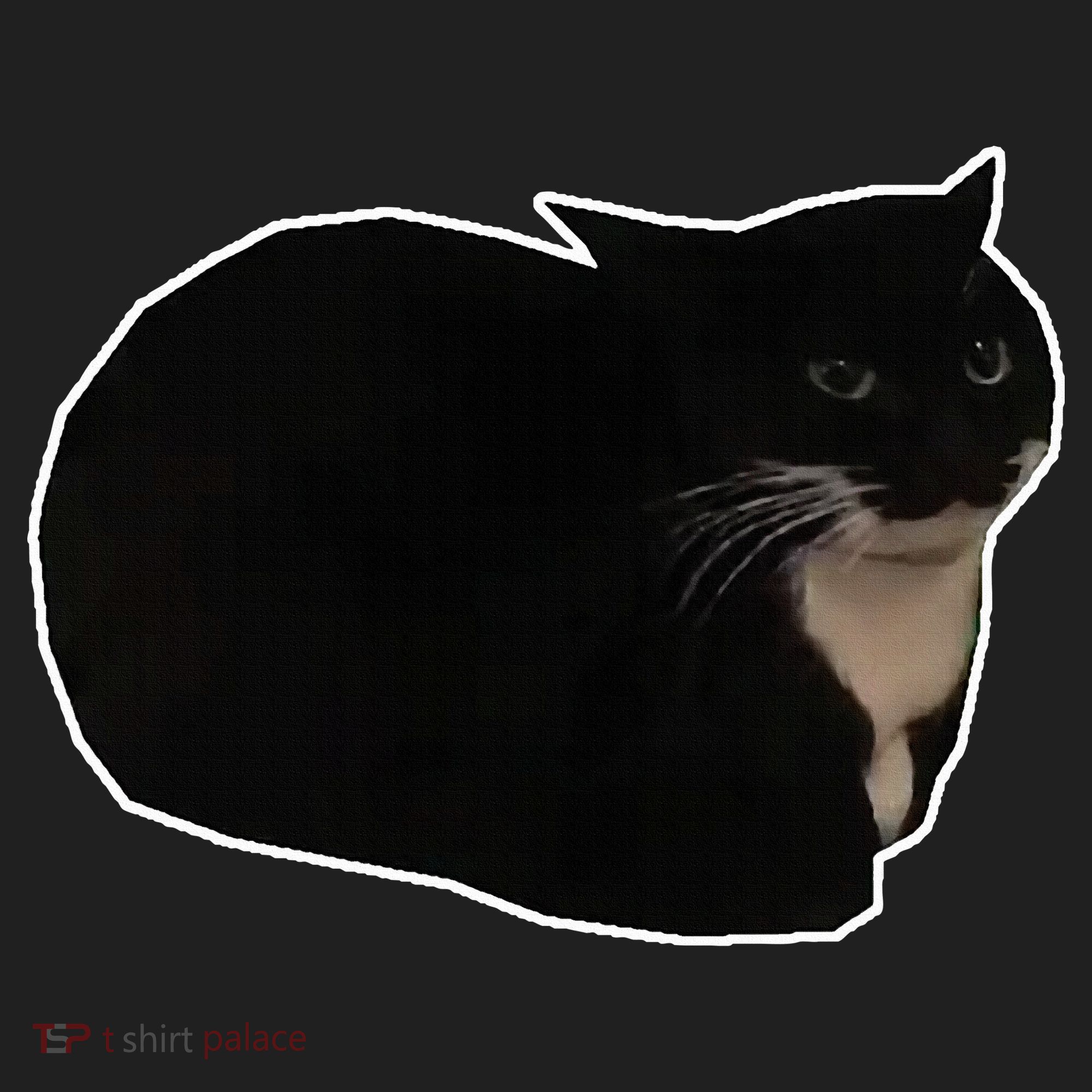 Spinning Cat Meme Maxwell The Cat Meme Tumbler