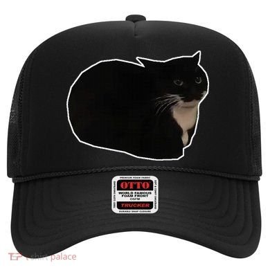 Spinning Cat Meme Maxwell The Cat Meme Hat