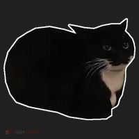 Spinning Cat Meme Maxwell The Cat Meme Hat thumb 2