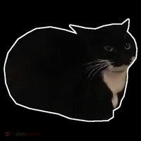 Spinning Cat Meme Maxwell The Cat Meme Toddler Hoodie thumb 2