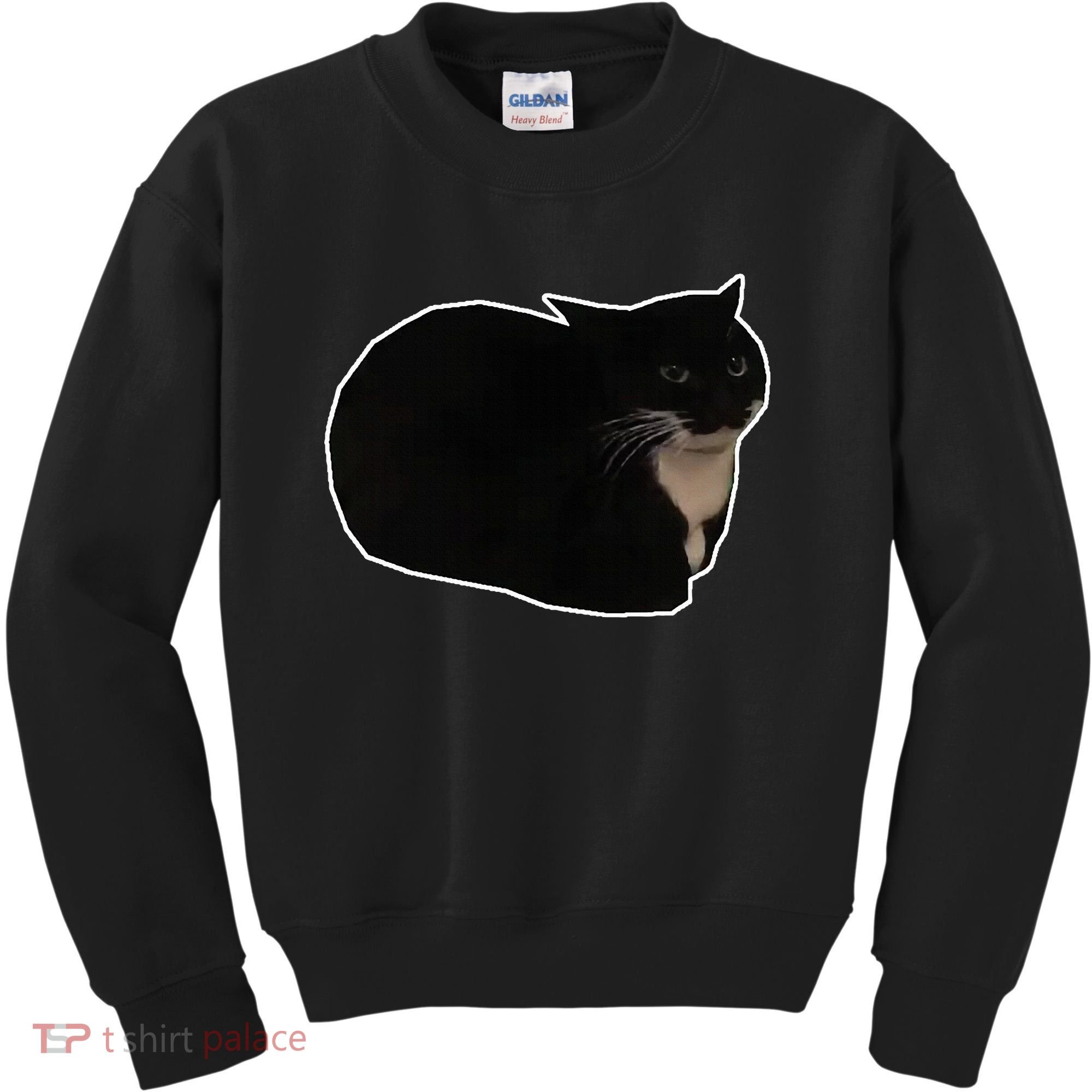 Spinning Cat Meme Maxwell The Cat Meme Kids Sweatshirt