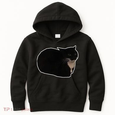 Spinning Cat Meme Maxwell The Cat Meme Kids Hoodie