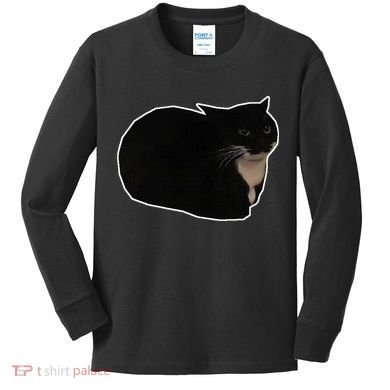 Spinning Cat Meme Maxwell The Cat Meme Kids Long Sleeve Shirt