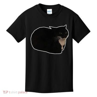 Spinning Cat Meme Maxwell The Cat Meme Kids T-Shirt