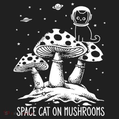 Space Cat On Mushrooms District V.I.T. Heavyweight Hoodie