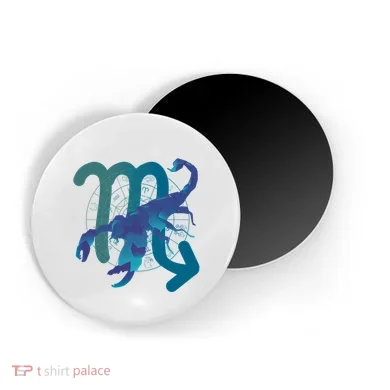 Magnet