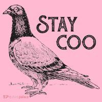 Stay Coo Pigeon Breeder Coaster thumb 2