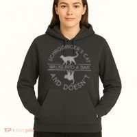 Schrodingers Cat Physics Hoodie thumb 5
