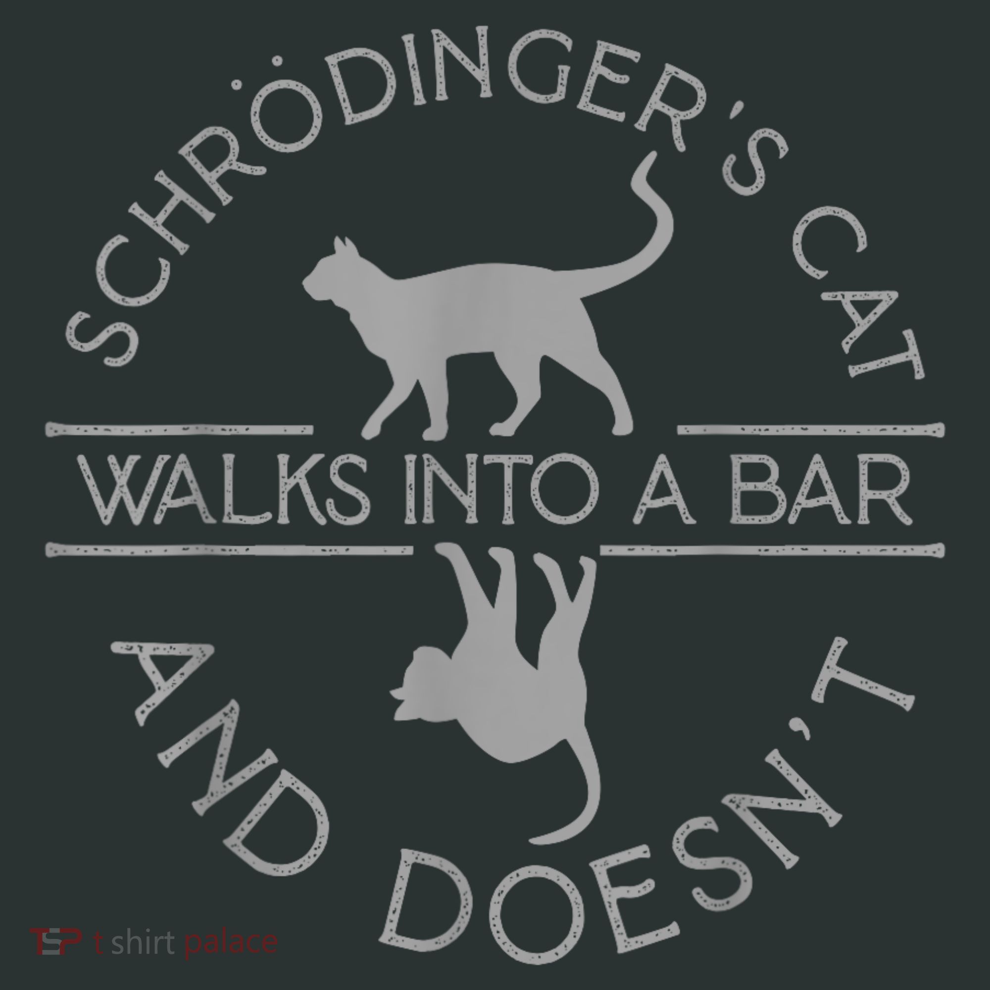 Schrodingers Cat Physics Kids Hoodie