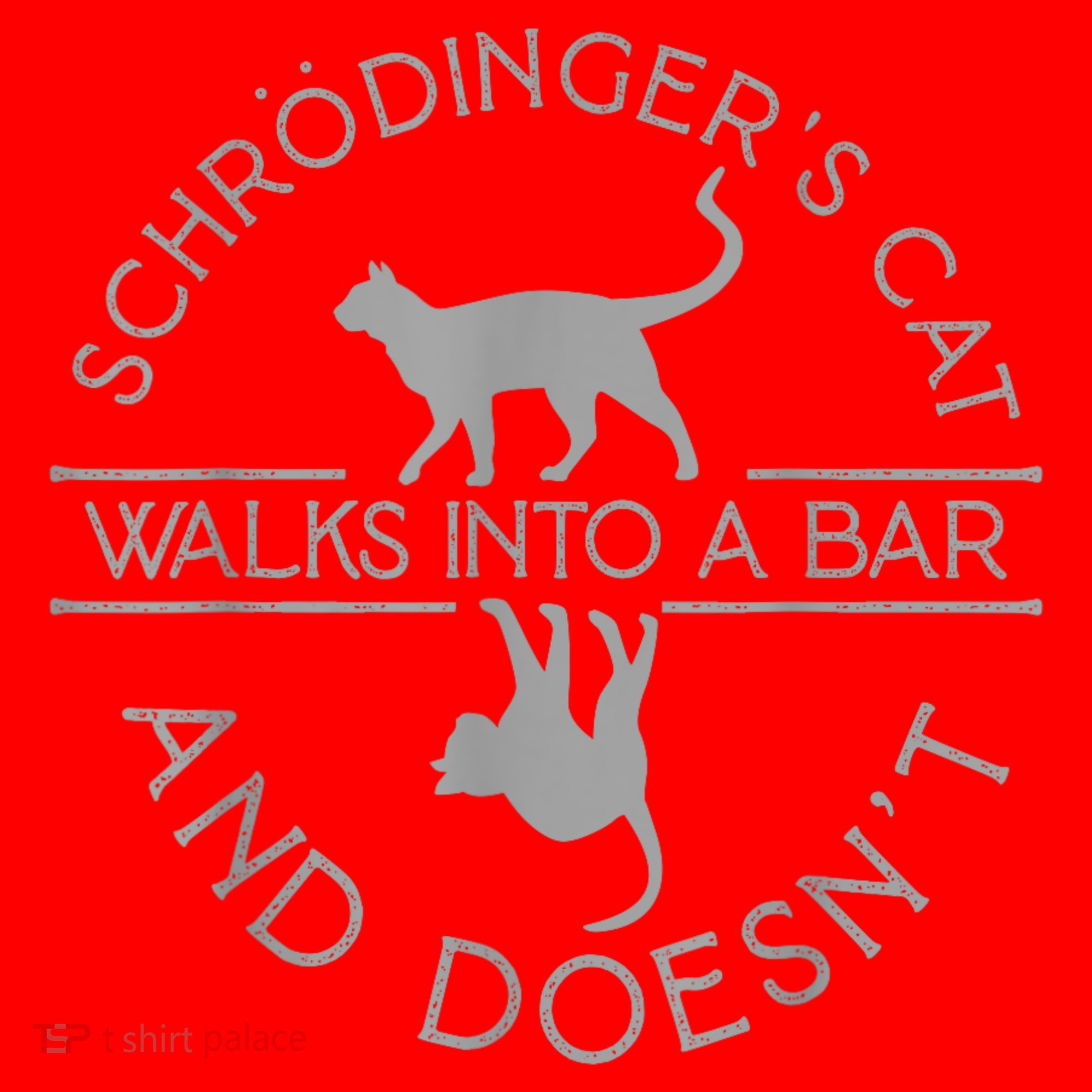 Schrodingers Cat Physics Santa Hat