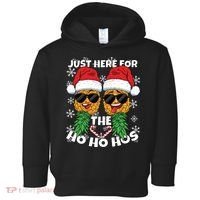 Swinger Christmas Party Here for the Ho Ho Hos Pineapple Long Sleeve Toddler Hoodie thumb 0