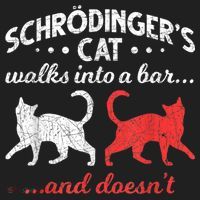 Schrodingers Cat Physics Hat thumb 2