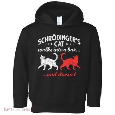 Schrodingers Cat Physics Toddler Hoodie