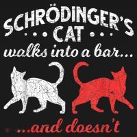 Schrodingers Cat Physics Tank Top thumb 6