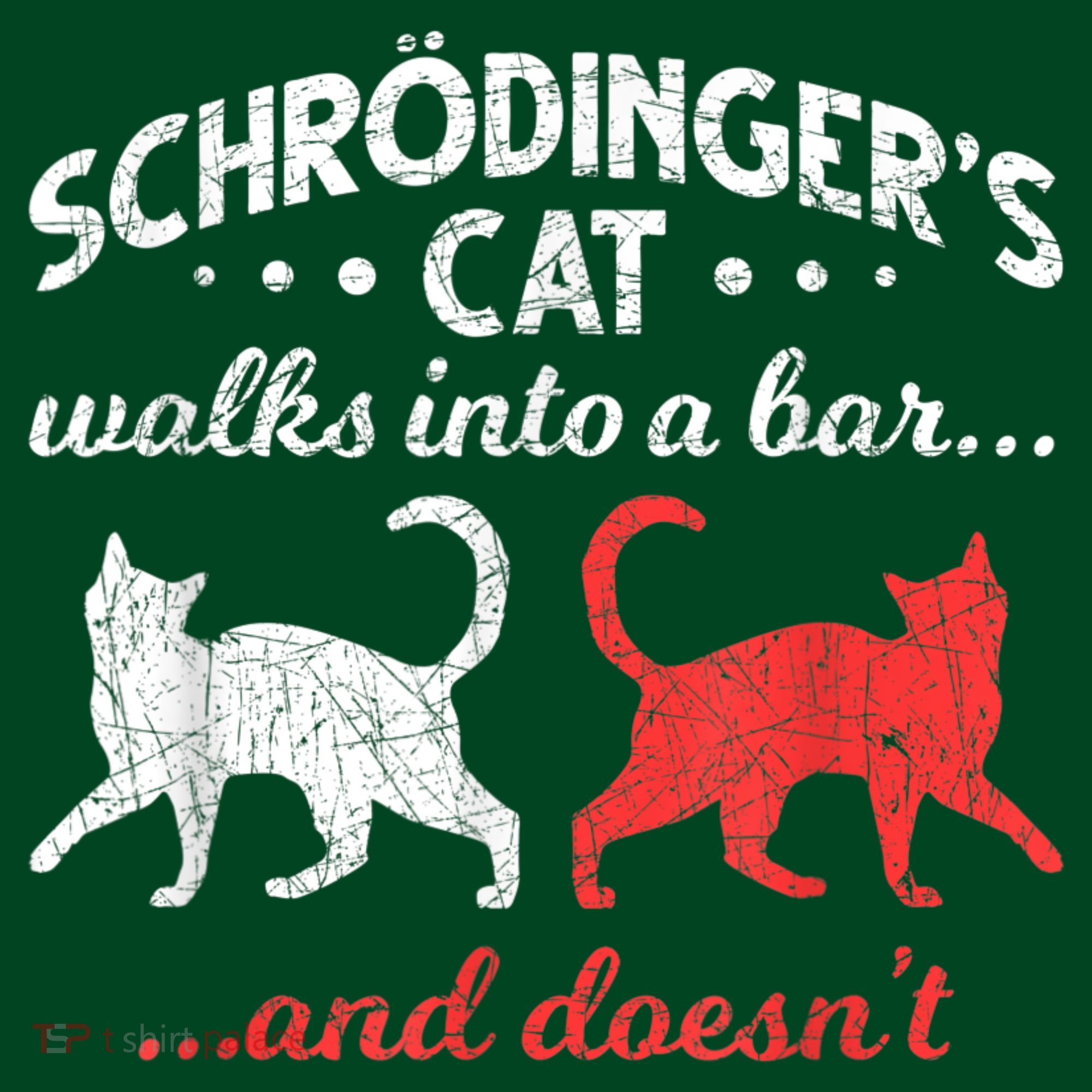 Schrodingers Cat Physics Visor