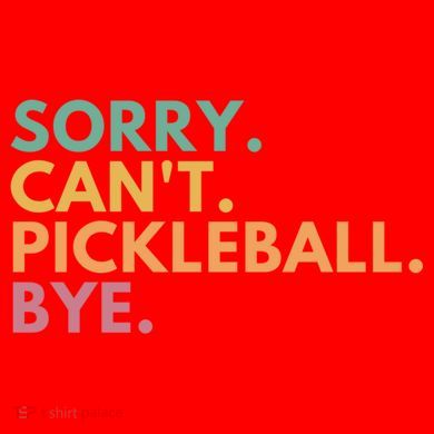 Sorry CanT Pickleball Bye Gift Santa Hat