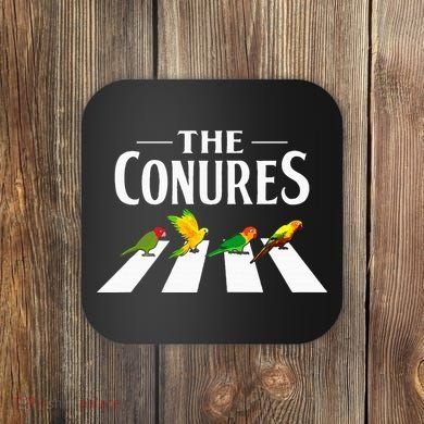 Sun Conure Parrot Pedestrian Design For A Conure Owner Coaster