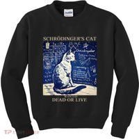 SchröDingerS Cat Quantum Physics Humor Kids Sweatshirt thumb 0