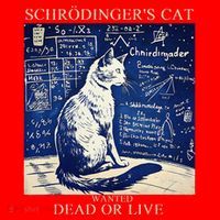 SchröDingerS Cat Quantum Physics Humor Santa Hat thumb 1