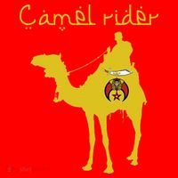 Shriners Camel Rider Emblem Nobles Freemasons Fathers Day Santa Hat thumb 1