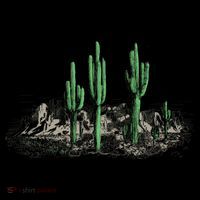 Saguaro Cactus Retro Desert Saguaro Cactus Western Nature Gift Coffee Mug thumb 5