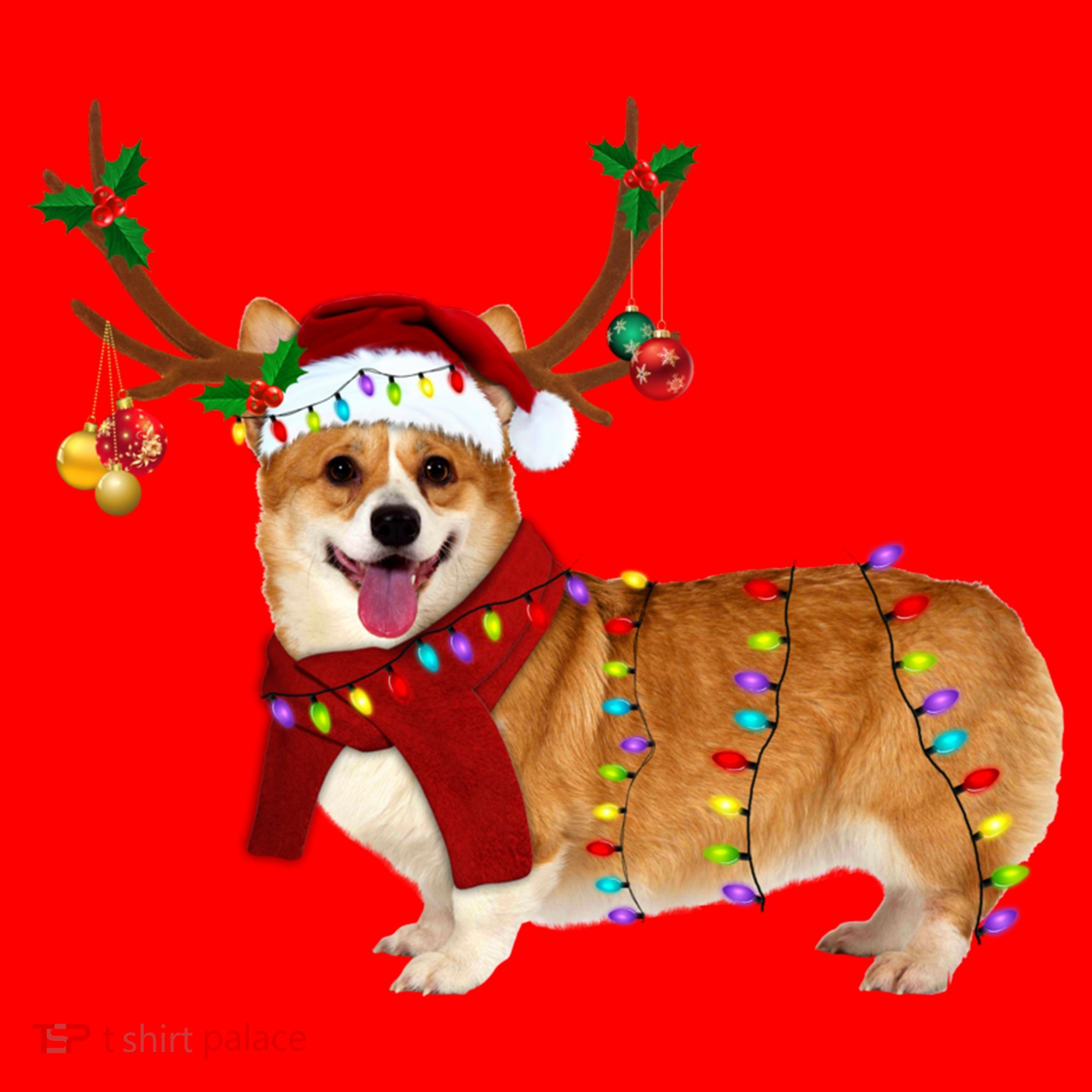 Santa Corgi Reindeer Light Christmas Gift Santa Hat