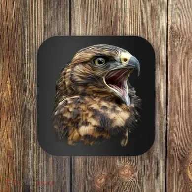 Screaming Hawk Wildlife Coaster