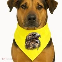 Screaming Hawk Wildlife USA-Made Doggie Bandana thumb 1