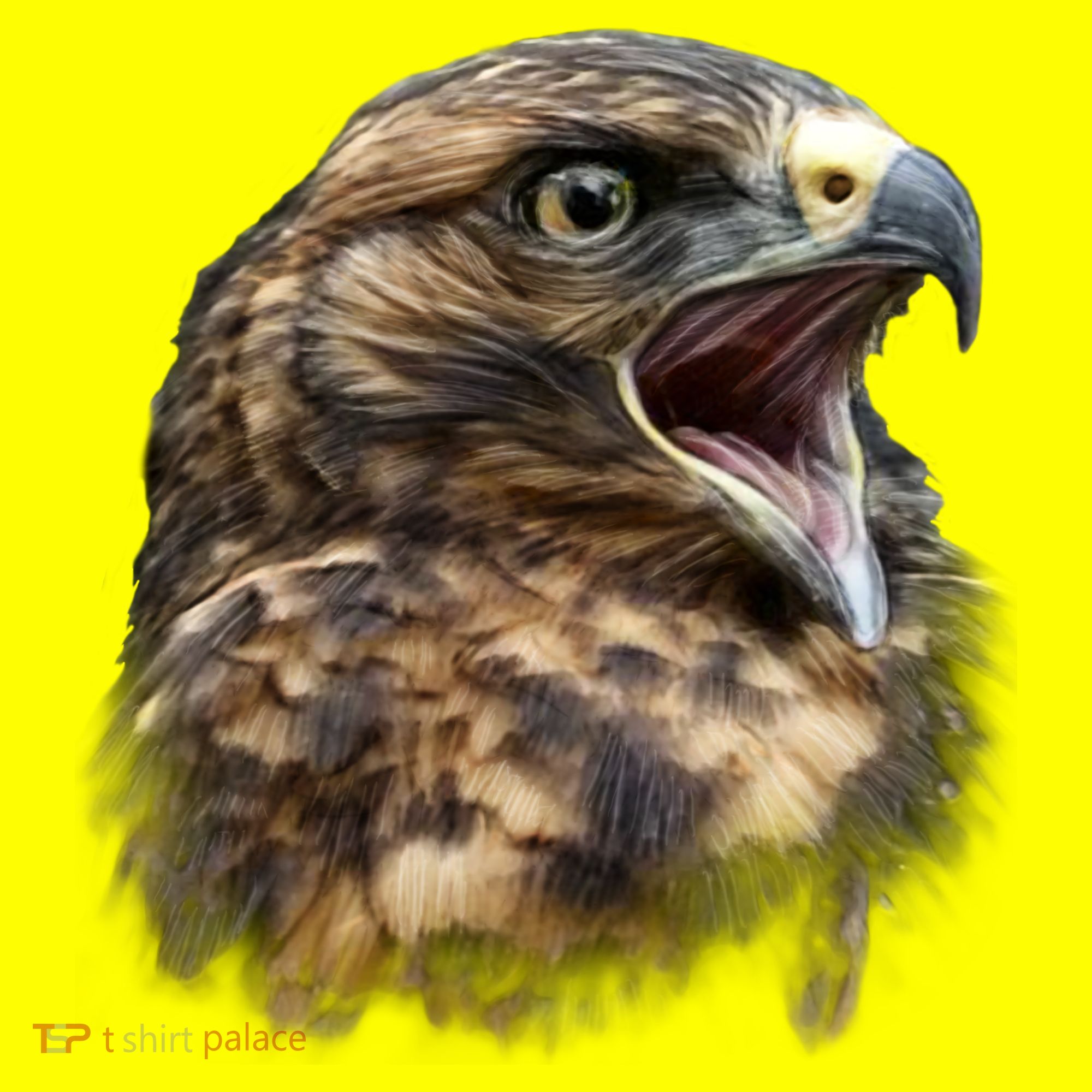 Screaming Hawk Wildlife Women's T-Shirt