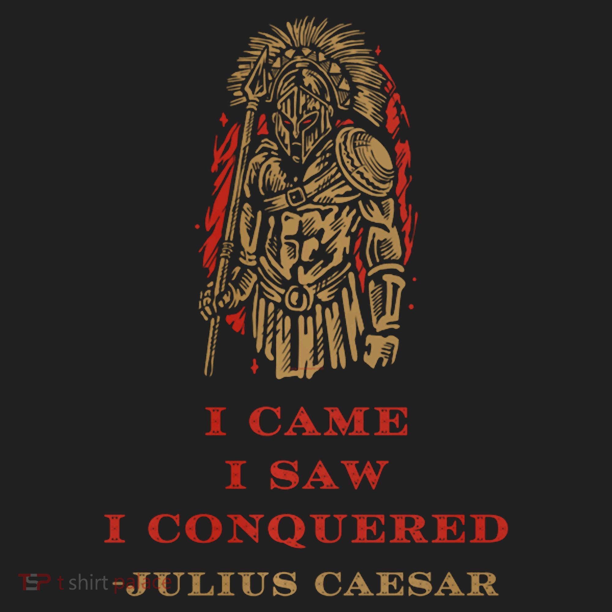 Stoicism Came Saw Conquered Julius Caesar Stoic Beanie