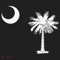 South Carolina State Flag Palmetto Moon SC Pride Beanie thumb 2