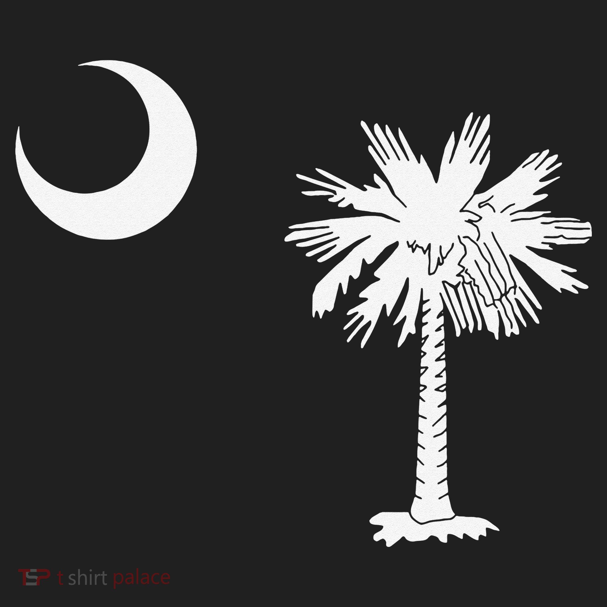 South Carolina State Flag Palmetto Moon SC Pride Beanie