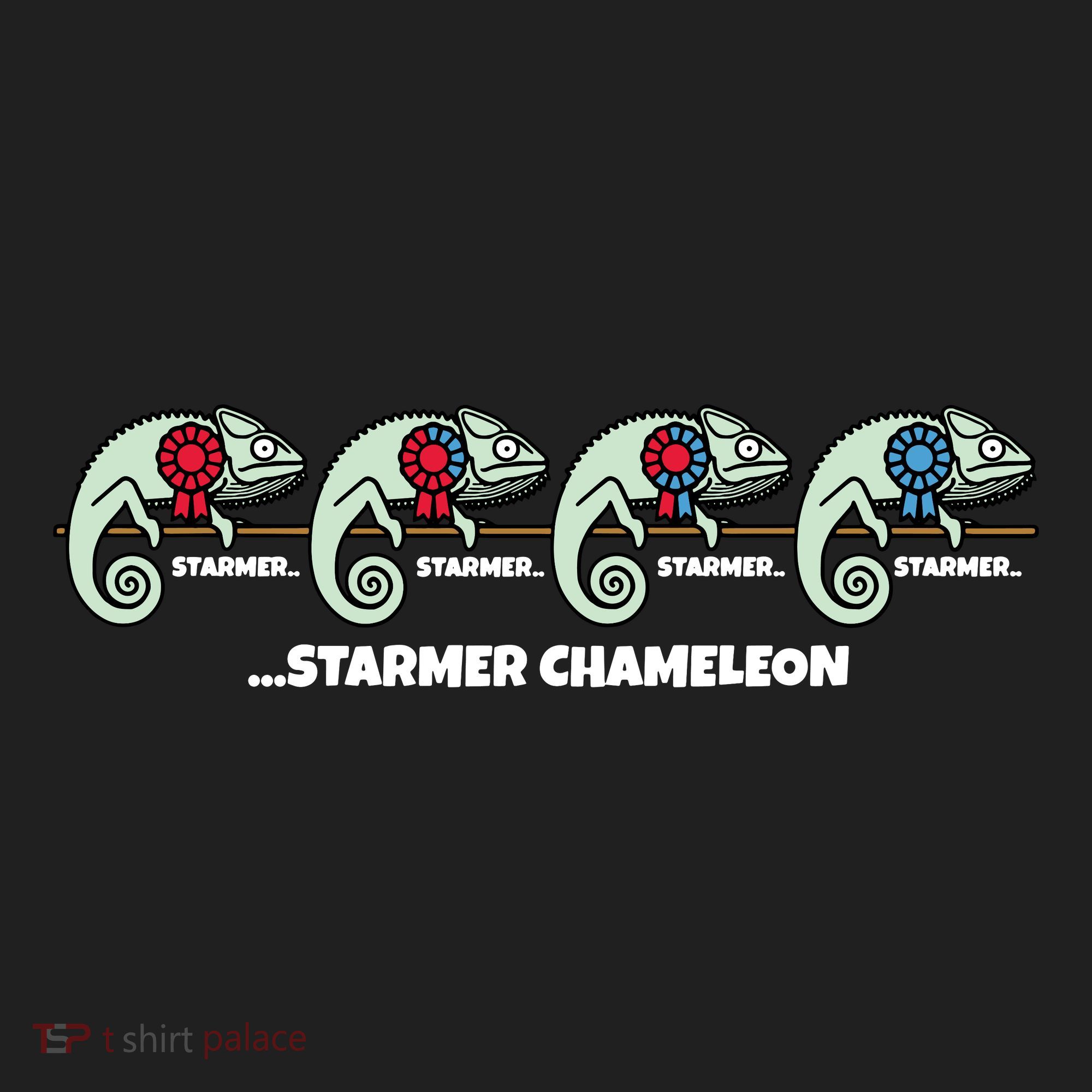 Starmer Chameleon Beanie
