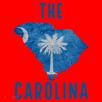 South Carolina Santa Hat thumb 1